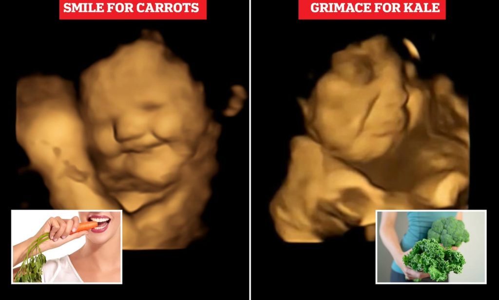تصاویر نوزاد در شکم مادر که نشان می دهد نفرت از سبزیجات از رحم مادر شروع می شود