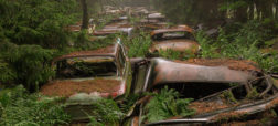 داستان جنگلی عجیب در بلژیک که به قبرستان ماشین های قدیمی تبدیل شده است