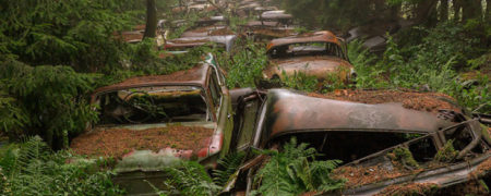 داستان جنگلی عجیب در بلژیک که به قبرستان ماشین های قدیمی تبدیل شده است