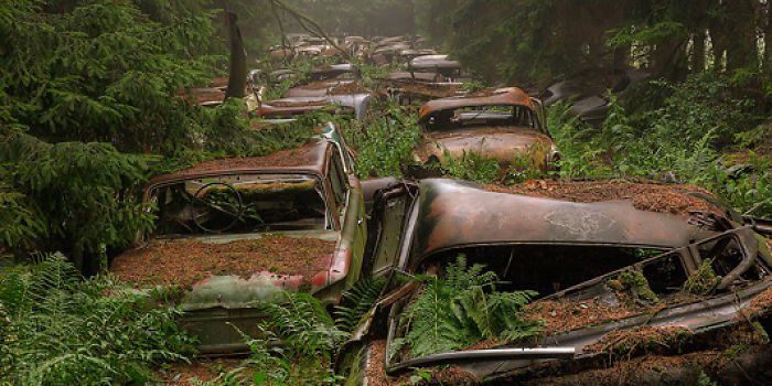 داستان جنگلی عجیب در بلژیک که به قبرستان ماشین های قدیمی تبدیل شده است