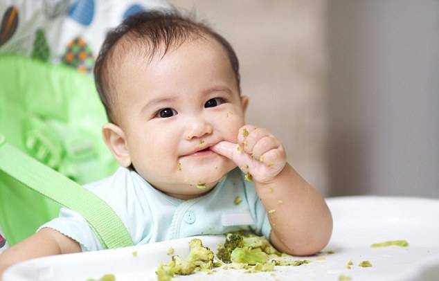 آیا نوزادان به سبزیجات علاقه دارند؟