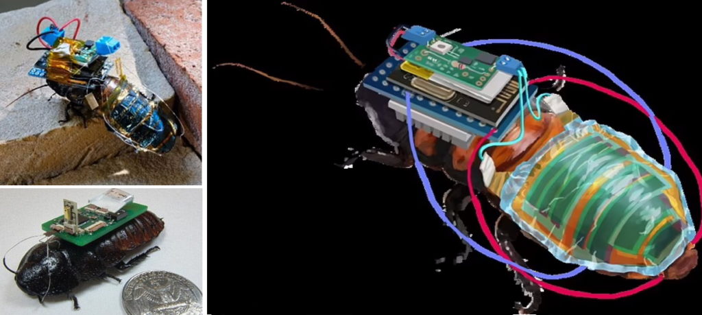 ساخت سوسک رباتیک با کوله پشتی مجهز به انرژی خورشیدی و کنترل از راه دور + ویدیو