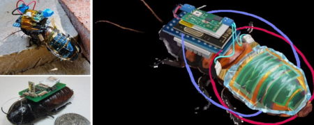 ساخت سوسک رباتیک با کوله پشتی مجهز به انرژی خورشیدی و کنترل از راه دور + ویدیو