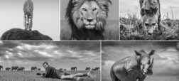 پرتره های خارق العاده یک عکاس حیات وحش از وحشی ترین شکاچیان آفریقا + تصاویر