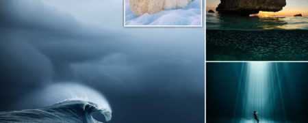 عکس های بی نظیر برندگان رقابت عکس سال اقیانوس ۲۰۲۲ منتشر شد + تصاویر