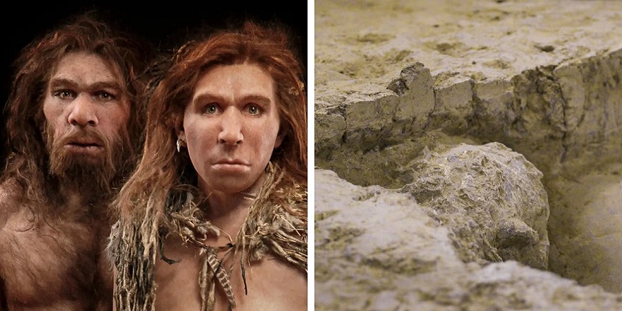 اتفاقی نادر در حوزه باستان شناسی؛ کشف جمجمه انسان یک میلیون ساله در چین