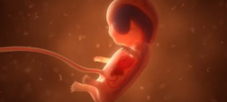 ساخت جنین مصنوعی انسان از سلول بنیادی در رحم مکانیکی