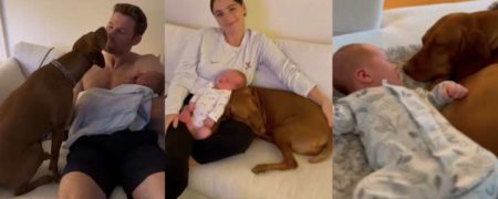 واکنش جالب سگ دو ساله خانواده در اولین ملاقات با نوزاد سه روزه + ویدیو