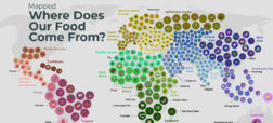 غذایی که می خوریم از کجا می آید؟ بزرگ ترین تولید کنندگان برنج، ذرت، گندم و نیشکر جهان