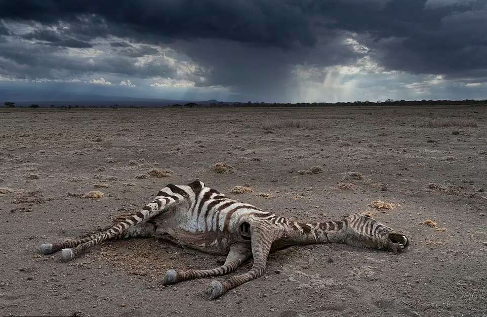 خشکسالی بی سابقه در کنیا 