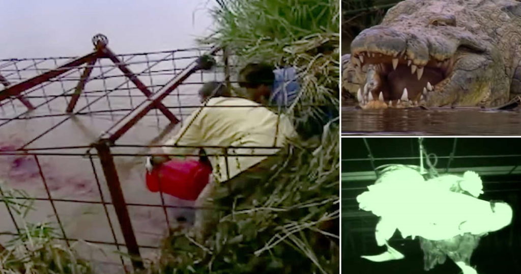 تمساح ۶ متری ترسناکی که گفته می‌‌شود بیش از ۳۰۰ نفر را خورده هنوز آزاد است؟