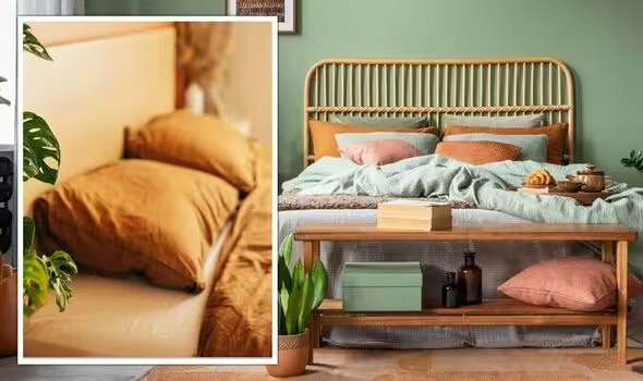 ۵ رنگ برتر برای دیوار اتاق خواب در سال ۲۰۲۳ 
