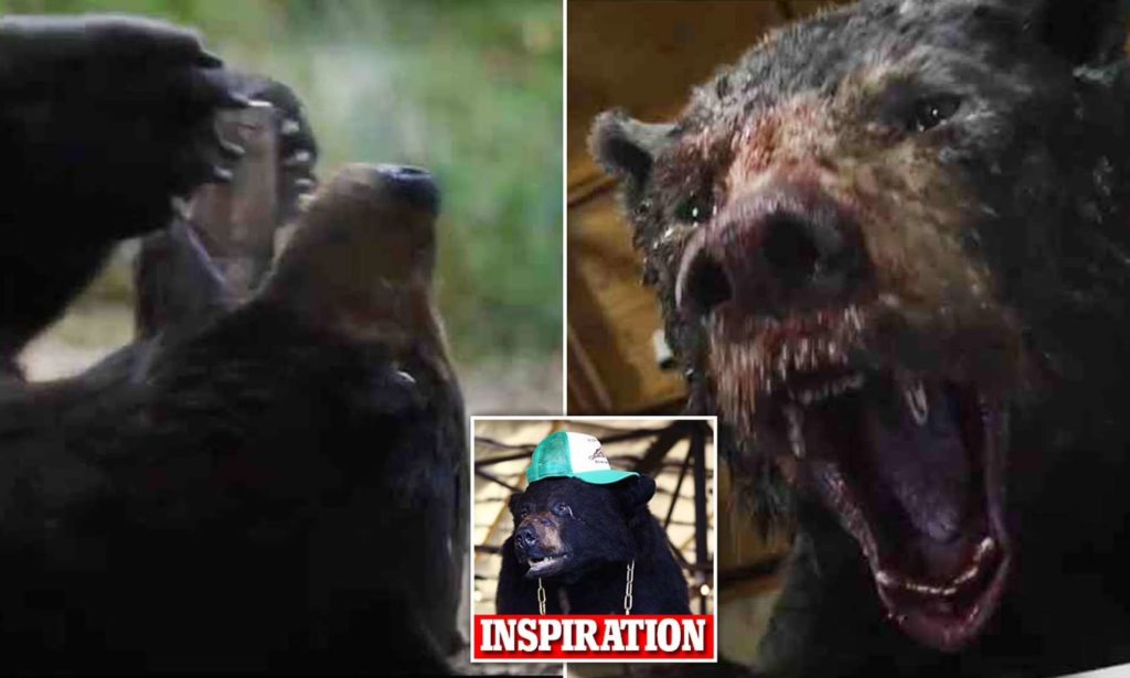 تریلر فیلم «خرس کوکائینی» با الهام از یک داستان واقعی منتشر شد + ویدیو