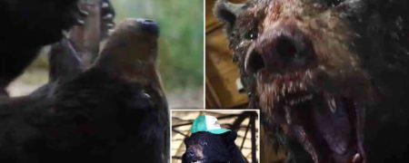 تریلر فیلم «خرس کوکائینی» با الهام از یک داستان واقعی منتشر شد + ویدیو