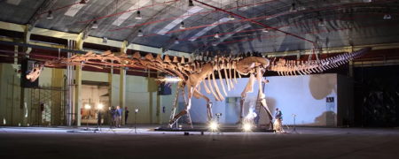 قلب ۱.۸ متری و چشمی به اندازه توپ تنیس: بزرگترین موجودی که روی زمین زیسته است