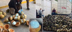 کشف محموله ۳۰۰ کیلوگرمی فنتانیل به ارزش ۸ میلیون دلار در داخل آناناس در مکزیک