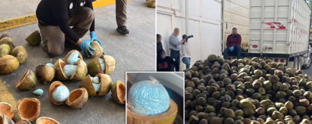 کشف محموله ۳۰۰ کیلوگرمی فنتانیل به ارزش ۸ میلیون دلار در داخل نارگیل در مکزیک