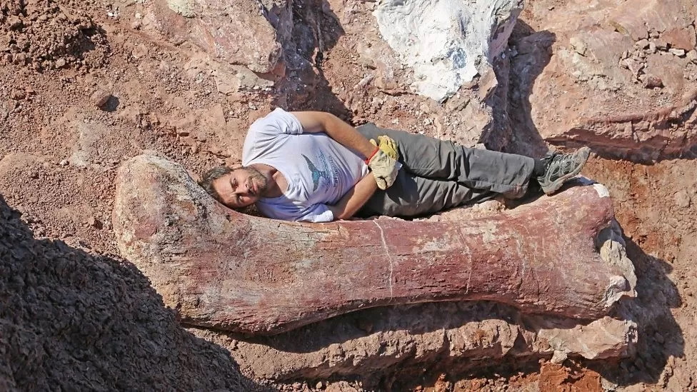 پاتاگوتیتان؛ بزرگ ترین موجودی که روی زمین پا گذاشته به موزه لندن می‌رود