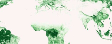 نقشه جنگل‌های جهان؛ کدام کشورها بیشترین فضای سبز را دارند؟