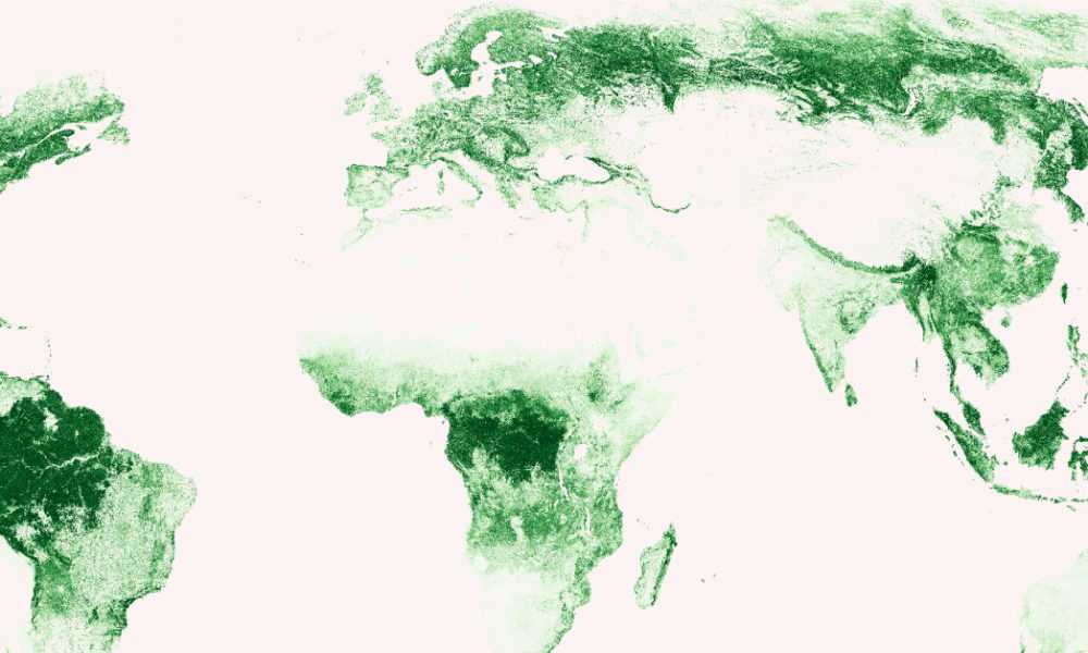 نقشه جنگل‌های جهان؛ کدام کشورها بیشترین فضای سبز را دارند؟