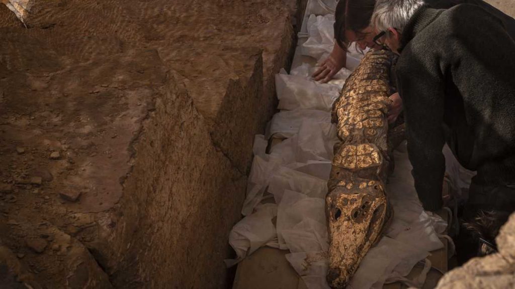 کشف ۱۰ کروکودیل مومیایی شده توسط باستان شناسان در مصر