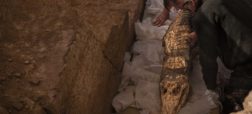 کشف ۱۰ کروکودیل مومیایی شده توسط باستان شناسان در مصر
