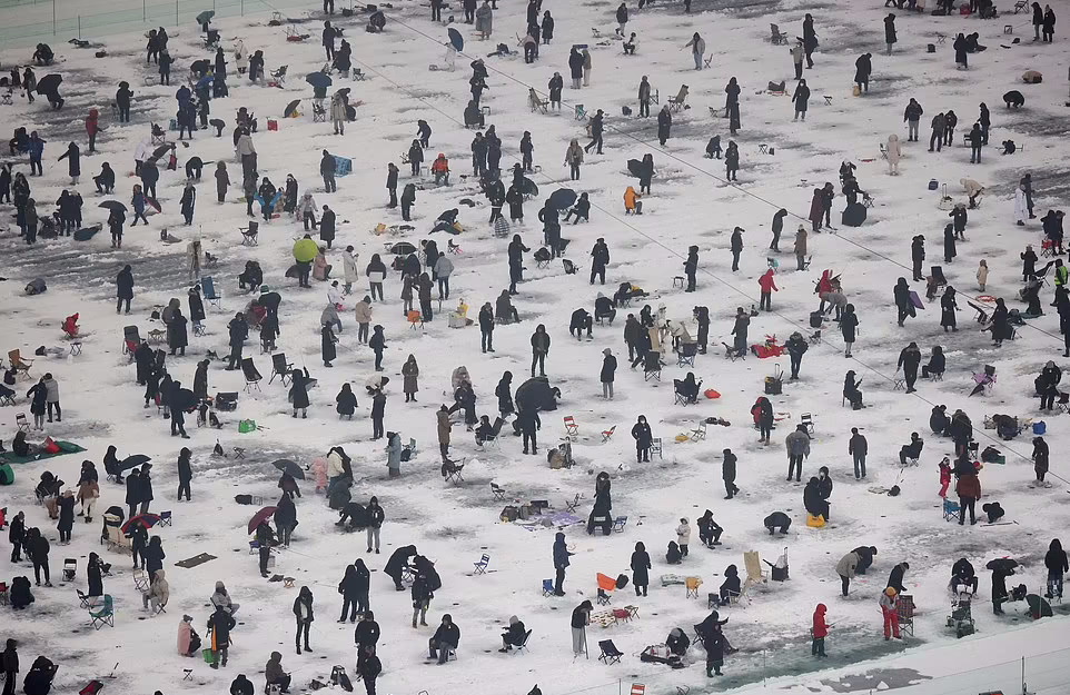 حضور بیش از ۱۰۰ هزار نفر در جشنواره ماهیگیری روی یخ در کره جنوبی + ویدیو 