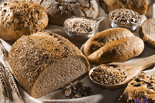 نان حزقیال چیست و چرا این‌قدر مفید است؟