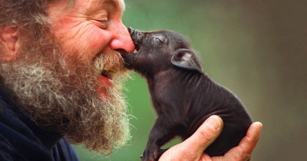 ۱۴ عکس محبت‌آمیز از عشق به حیوانات که لبخند را بر لبانتان می‌نشاند
