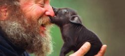 عکس های احساسی از محبت انسان به حیوانات