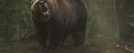 ۱۰ فیلم برتر تاریخ سینما در مورد حمله جانوران وحشی؛ از Burning Bright تا The Pack