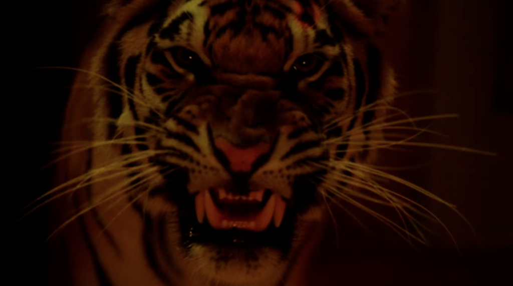 10 فیلم برتر سینما در مورد حمله جانوران وحشی
