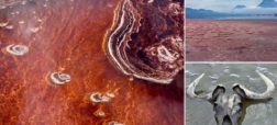 دریاچه ناترون تانزانیا که حیوانات را به سنگ تبدیل می کند