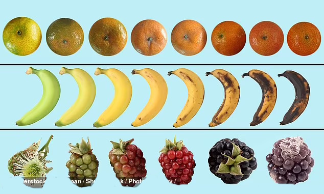 کدام میوه ها را رسیده بخوریم و کدام یک را نارس؟