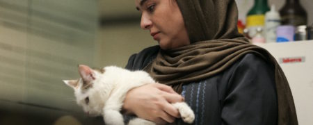 علت توقیف «برادران لیلا» و واکنش سعید روستایی به این خبر