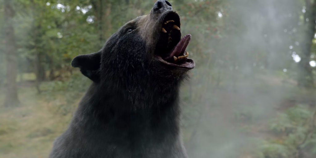 ماجرای واقعی فیلم خرس کوکایینی Cocaine Bear