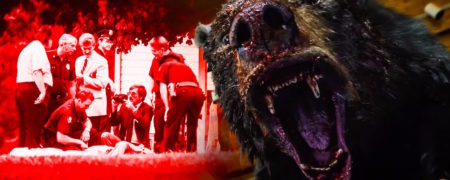 ماجرای واقعی فیلم Cocaine Bear؛ داستان خرس کوکایینی در واقعیت چه بود؟