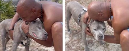 لحظه پر احساس دیدار دوباره مردی با سگش پس از ۱۰ سال جدایی + ویدیو