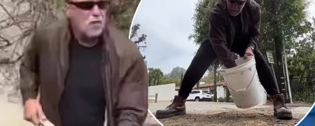 آرنولد شوارتزنگر با بیل به جان چاله چوله های شهر لس آنجلس افتاد + ویدیو