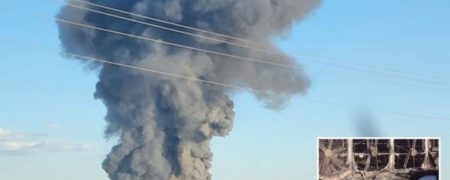 کشته شدن بیش از ۱۸ هزار گاو در اثر انفجار ناشی از باد معده خودشان در تگزاس