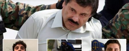 پسران ال چاپو دشمنانشان را غذای ببرهای خود می کردند