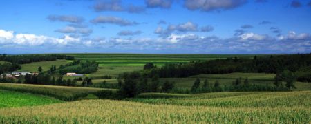 بزرگترین مزرعه جهان که از ۱۱ ایالت آمریکا بزرگ تر است!