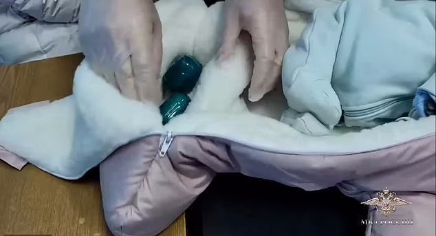 پوشاندن لباس نوزاد به یک گربه توسط یک زن برای جاسازی مواد مخدر + ویدیو