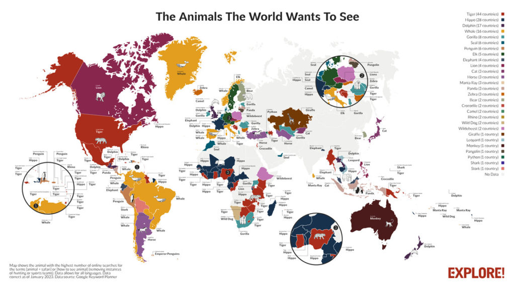 محبوب ترین حیوانات مردم کشورهای مختلف + اینفوگرافیک