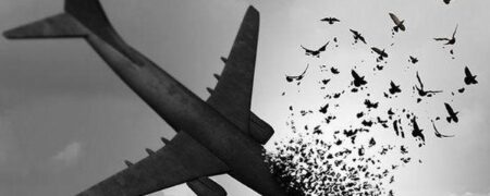 رأی دادگاه متهمان پرونده سانحه سقوط هواپیمای اوکراینی صادر شد