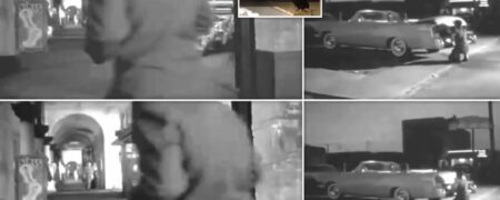 نمایش تصاویر از دیدگاه یک موش به کمک هوش مصنوعی برای اولین بار + ویدیو