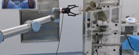 تراشه مغزی چینی که به میمون ها اجازه می دهد بازوی رباتیک را با ذهن کنترل کنند + ویدیو