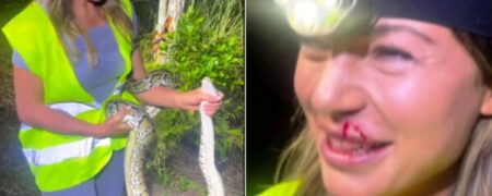 نبرد خونین مار پیتون ترسناک و جذاب ترین دانشمند جهان + ویدیو