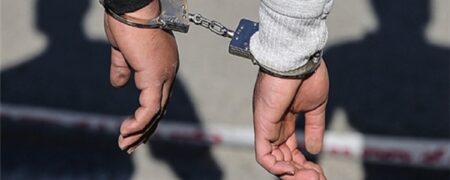 ماجرای دو جوان که با لباس و گریم سگ در انظار عمومی ظاهر شدند + ویدیو