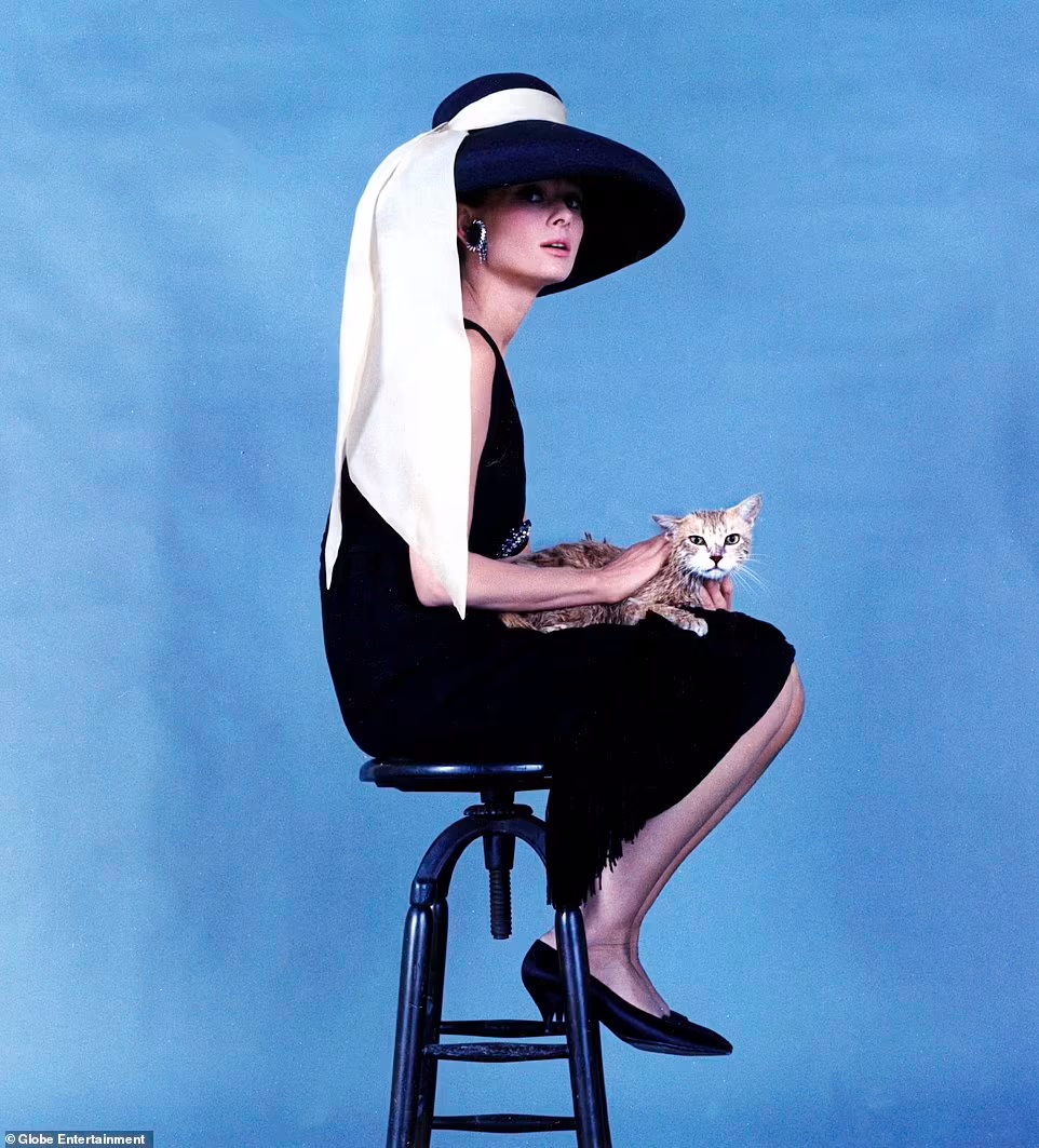 2 71153569 12100011 Audrey Hepburn is pictured sitting on stool in Breakfast at Tiff a 17 1684507723407